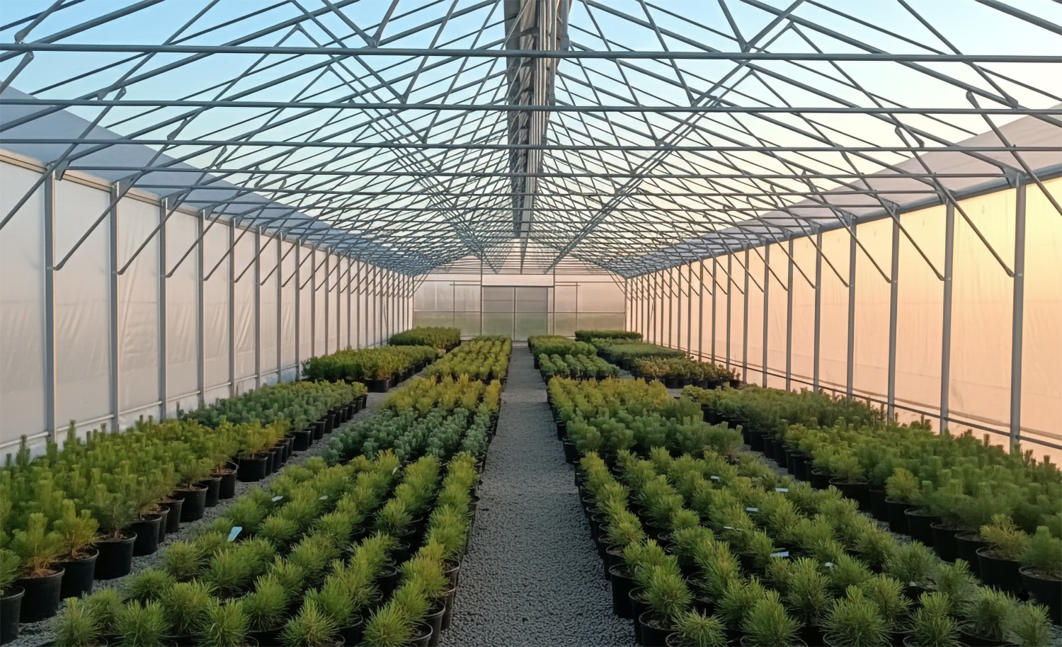 industrial greenhouse7_1500x914